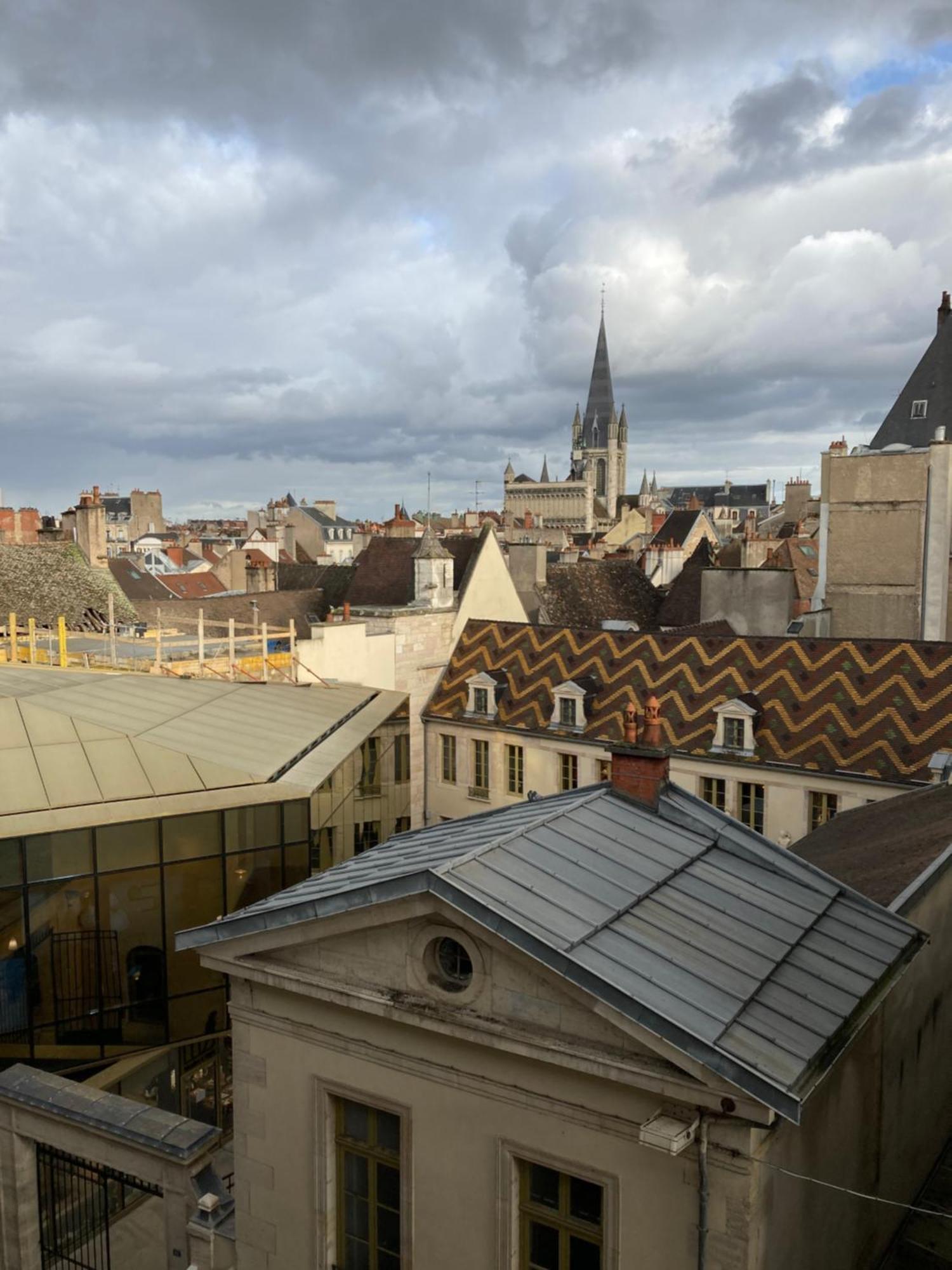 Studio Lumineux, Coeur De Ville Dijon Exteriér fotografie